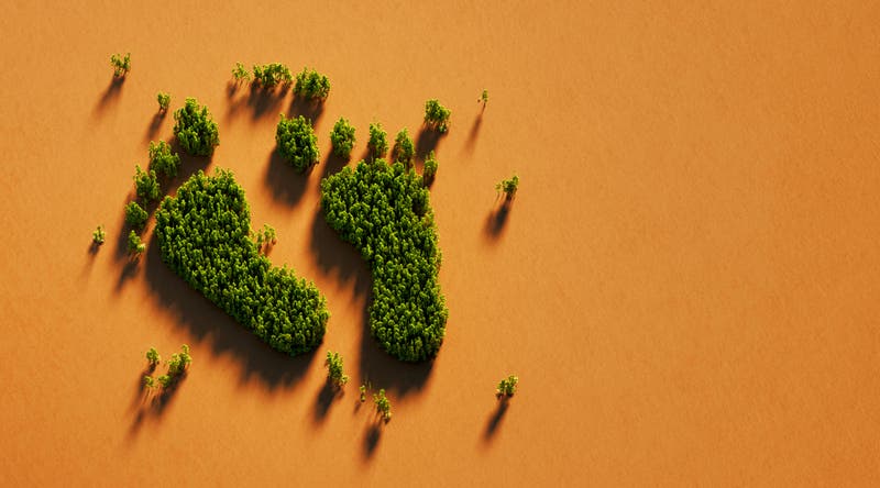 sustainability awareness