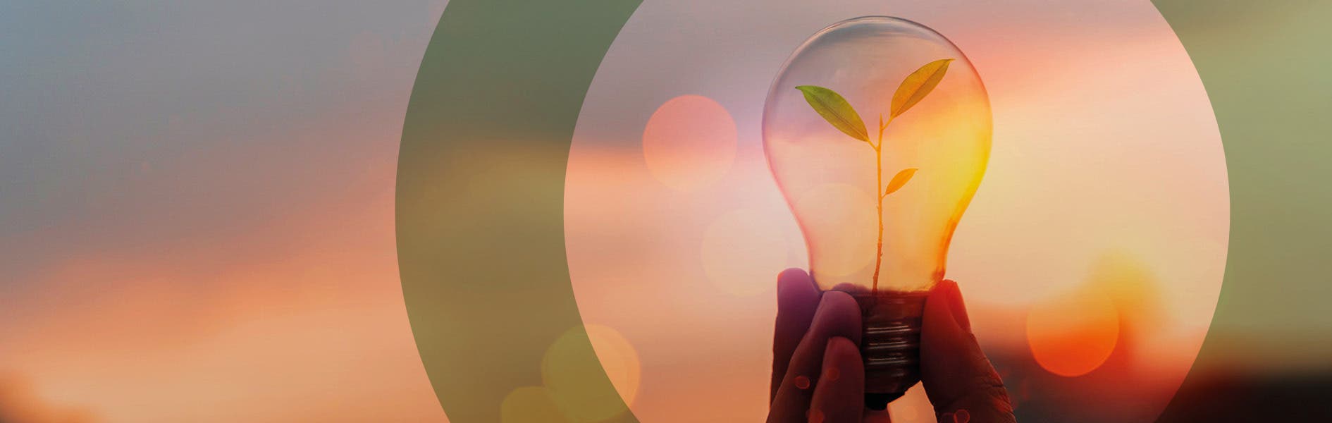 Sustainability