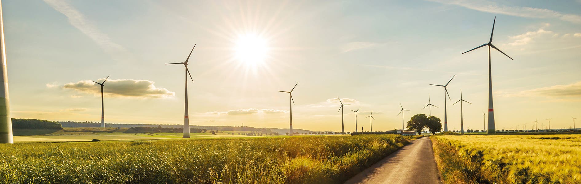 Field, wind turbines, countryside, nature