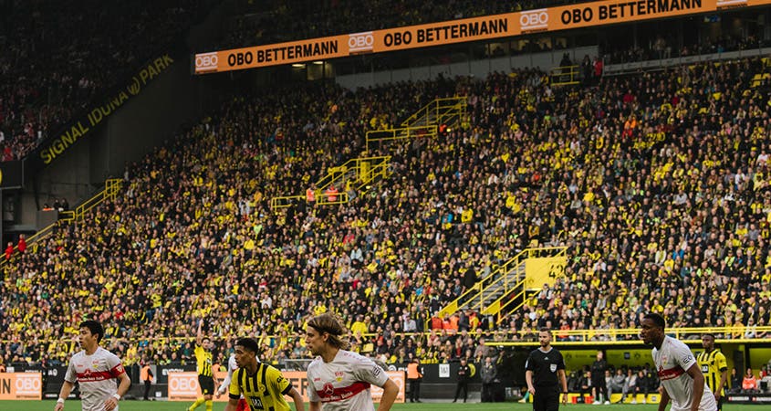 OBO und der BVB