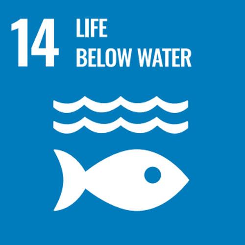Sustainability_Icon_14_Life_below_water
