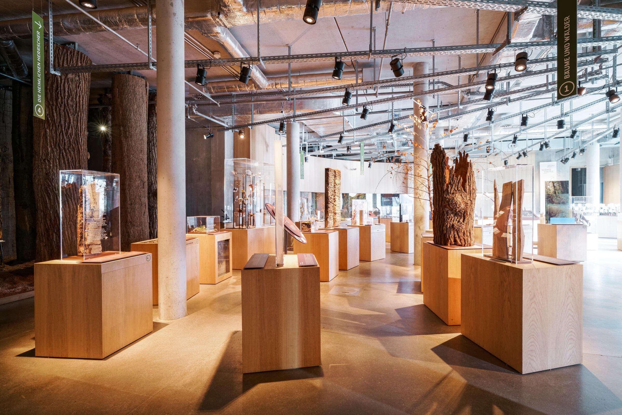 Museum, Holz
