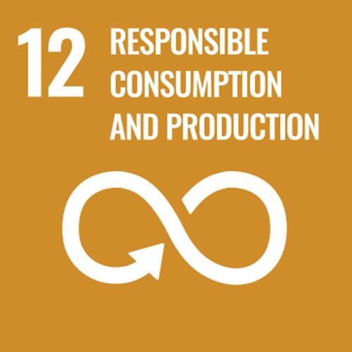 Sustainability_Icon_12_Responsible_consumption_and_production
