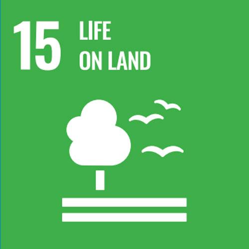 Sustainability_Icon_15_Life_on_land